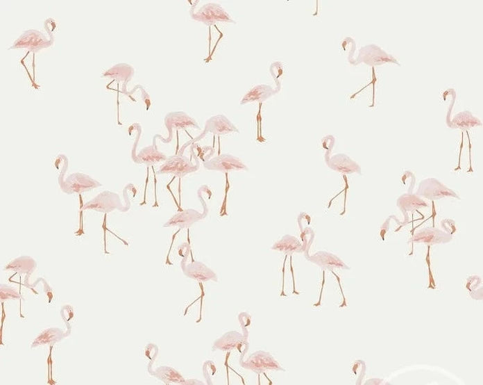 Plānā kokvilnas trikotāža - FLAMINGO